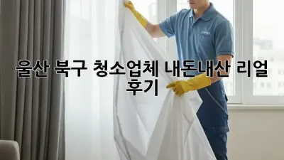 울산 북구 청소업체✨ 내돈내산 리얼 후기! 🏠💖